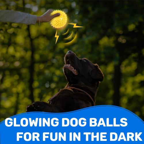 6 Pack 2.5 Light Up Squeaky Dog Balls, Spiky Dog Toy Balls for Puppy Small,Medium Dogs