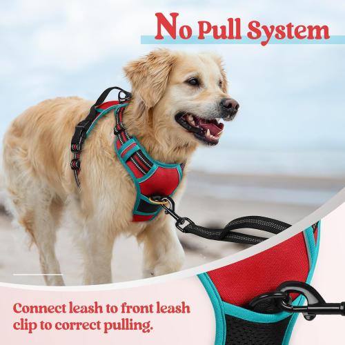 Size L rabbitgoo Dog Harness No Pull with 2 Leash Clips, Adjustable Soft Padded, Reflective Oxford No Choke Pet Vest with Easy Control Handle for Medium Sized Dogs, Red & Teal