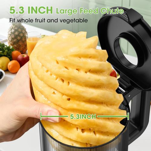 Juicer Machines, 5.3 Wide Feed Chute Cold Press Juicer for Whole Vegetables & Fruits, High Juice Yield, BPA Free (Slivery)