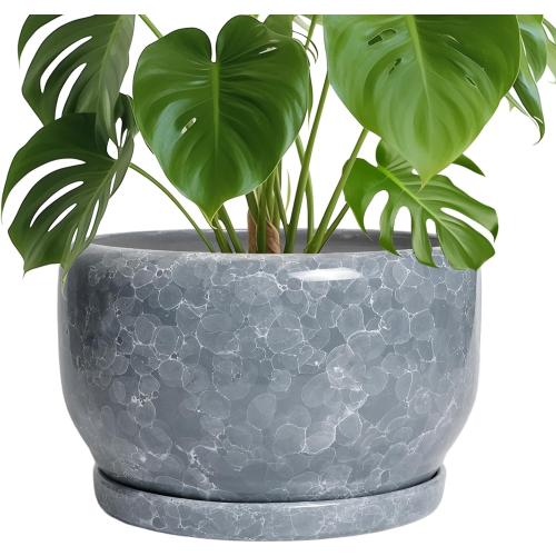 SQOWL Ceramic Pot for Plants - 10 Inch Plant Pot Indoor with Drainage Hole and Saucer, Round Ceramic Planter, Decorative Large Flower Pot Outdoor, Home Office Room Decor, Garden Gifts, Gray