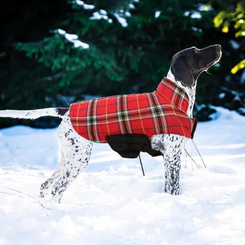 Size M Kuoser Waterproof Dog Coat, Reversible Dog Jacket for Medium Dogs, Adjustable Durable