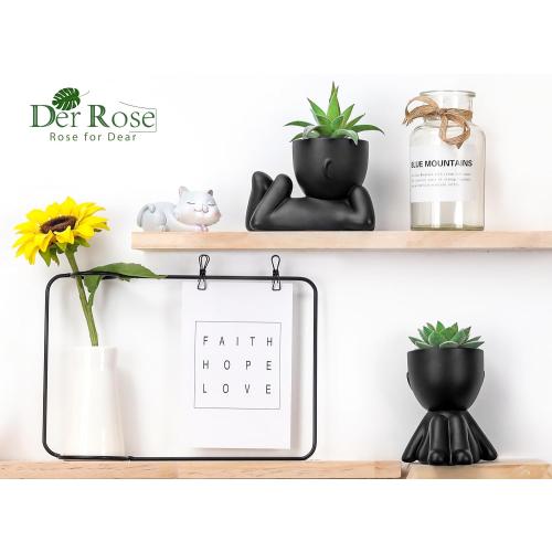 Der Rose Set of 2 Color Black  Fake Plants Artificial Succulent Plants for Office Desk Accessories Black Bathroom Home Room Aesthetic Decor Indoor