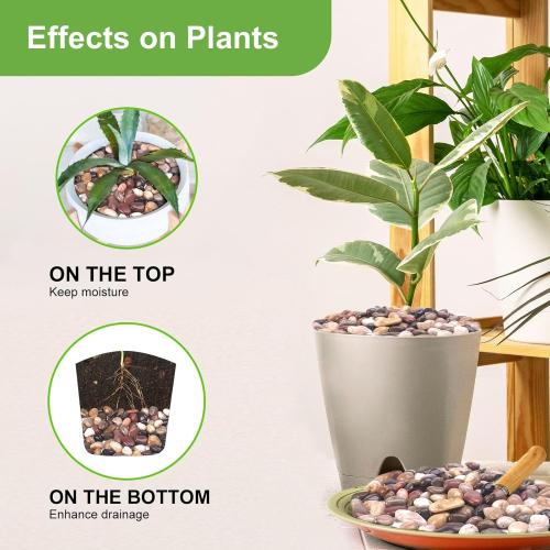 30 lbs River Rocks for Plants, 1-1/2 inch Decorative Garden Rocks Outdoor Landscaping, Large Polished Natural Stone for Walkways, Yard, Vases, Crafts