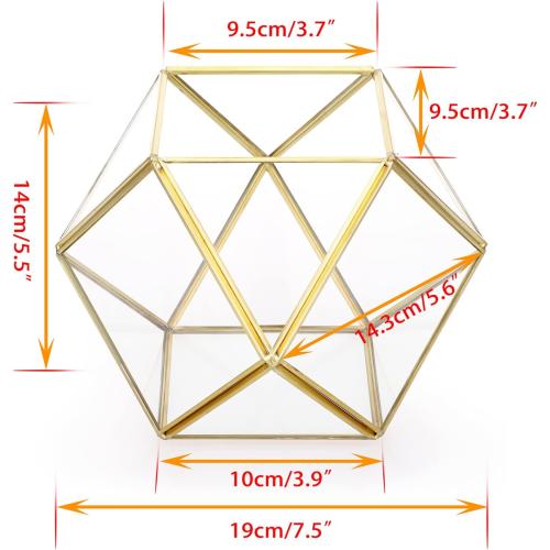 ELLDOO Gold Glass Coffee Pods Holder, Large Capacity 14 Sided Glass Box for K Cups & Nespresso Capsules, Coffee Capsule Storage for Counter Coffee Bar, Kitchen, Office
