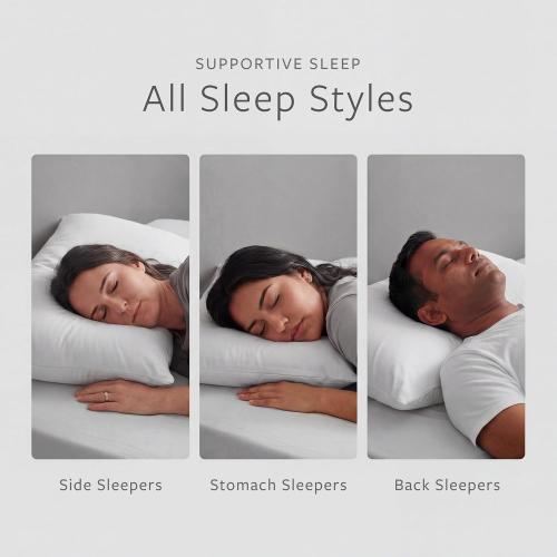 Avocado Organic Cotton Pillow, GOLS-Certified Organic Latex Fill, Standard