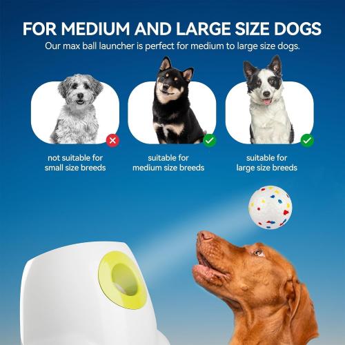 ALL FOR PAWS Automatic Ball Launcher for Dogs, Interactive Puppy Pet Balls Outdoor Thrower for Medium to Large Dogs, Ball Throwing Machine for Dogs, 6 ETPU Balls Included(2.5), Rechargeable Battery