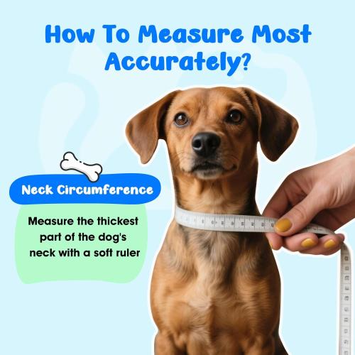 Soft Small Dog Cone Collar Alternative for Small Dogs(Adult Yorkshire Adult Chihuahua Pomeranian), Comfortable Dog Neck Recovery Cone, Adjustable Head Pillow Cone After Surgery to Stop Licking