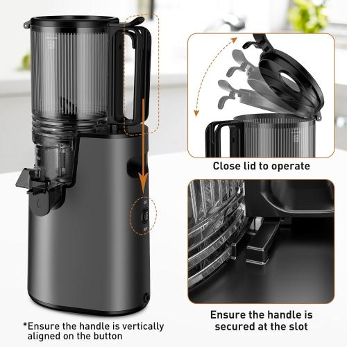 LQZ Cold Press Juicer, Masticating Juicer with Wide Feed Chute, Slow Juicer Machines Fit Whole Vegetables and Fruits with High Juice Yield, Easy to Clean (Black)