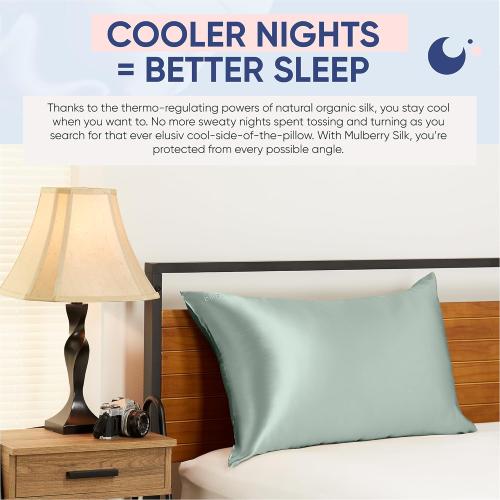 Blissy Silk Pillowcase - 100% Pure Mulberry Silk - 22 Momme 6A High-Grade Fibers - Silk Pillow Cover for Hair & Skin - Regular, Queen & King (Color White, Standard)