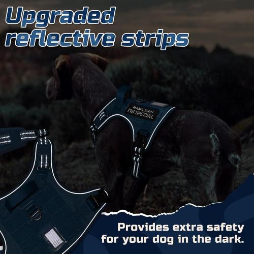 Size S ....rabbitgoo Dog Harness No Pull, Military Dog Harness Medium Sized Dog with Handle & Molle, Easy Control Service Dog Vest Harness Training Walking, Adjustable Reflective Tactical Pet Harness, Blue,