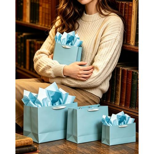 qiqee 10PCS Lake Blue Gift Bags with Ribbon Handles Mulit Assorted Sizes Gift Wide Bags (2pcs Large 13, 4pcs Medium 9.6, 4pcs Small 6.3,Tissue Paper)