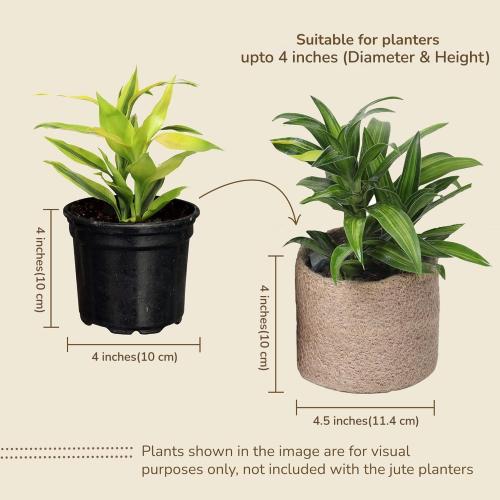 Jute Planter Basket-Woven Jute Rope Covers for Decorating Indoor/Outdoor Succulents, Small Plant Pots-Set of 3-Multi-Purpose Storage Bins 4.5 Inches -Modern Style Decor -Natural Jute