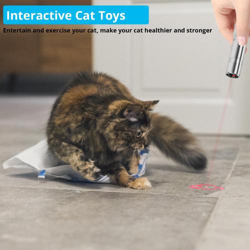 Cat Toy for Indoor Cats, 2 Pieces, USB Rechargeable Kitten Toys with 7 Adjustable Patterns, Interactive Chase Toys for Indoor Cats & Dogs, Training & Exercise Fun
