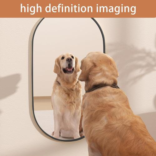 Protylctaster Oval Bathroom Mirror,20x28'' Wall Mirror,Bathroom Mirror Oval,Pill Shaped Mirror,Entryway (Black)
