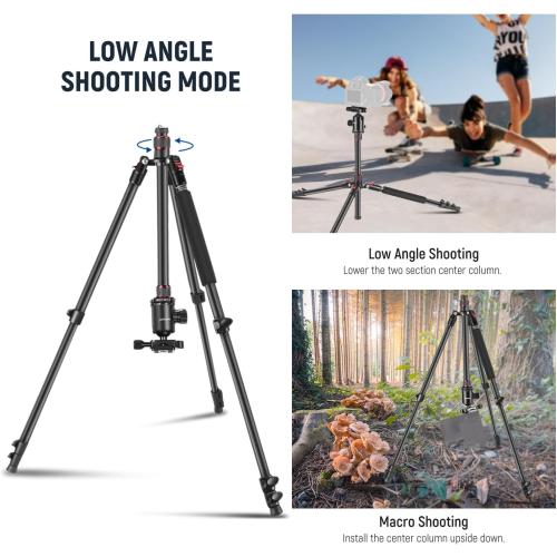 NEEWER 77” Camera Tripod Monopod with Phone Holder, Portable Travel Tripod with Remote, 360° Ball Head, 2 Axis Center Column, Arca QR Plate and Bag, Aluminum DSLR Tripod 34lb Max Load, TP77