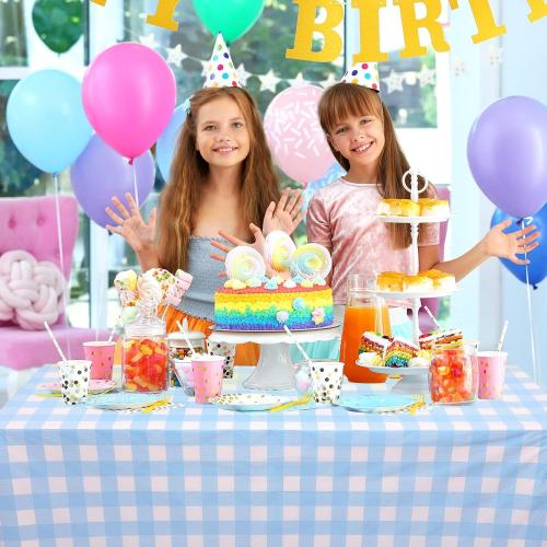 Light Blue Gingham Tablecloth Pale Blue and White Checkered Tablecloths 54 x 108 Inches Disposable Plastic Gingham Tablecovers Waterproof Rectangle Picnic Table Cover for Birthday Party