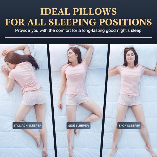 LAVANCE Pillows Queen Size Set of 2 Hotel Collection Pillows 3D Down Alternative Fiber Filling Soft Bed Pillows for Back, Stomach or Side Sleepers-1.2 White Striped, 20x28