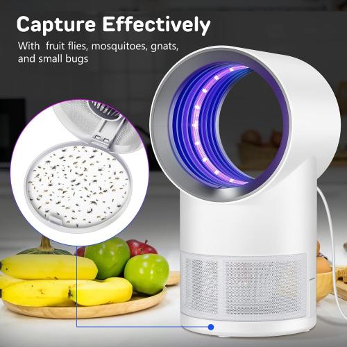 Fly Trap Indoor,White Gnat Traps House Indoor,Timed Indoor Insect Trap