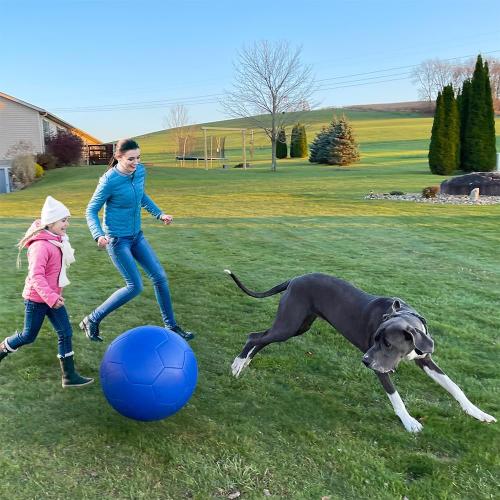 BLUE Herding Ball for Dogs, PU 20 Collie Balls for Australian Shepherd, Border Collies | Pet Toys Large for Gifts