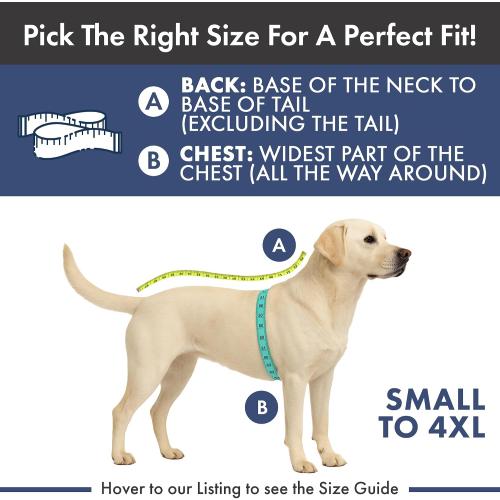 Spark Paws Dog Cooling Vest - SPF 50 UV Sun Protection - Summer Heat Relief Gear for Dogs, Lightweight, Evaporative Cooling - Dog Anxiety Relief Vest During Hot Days - Ice Blue, Medium