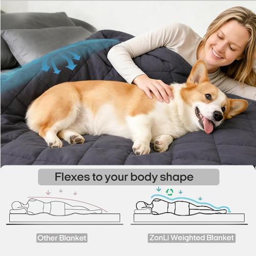 ZonLi Weighted Blanket (60x80, 20lbs, Dark Grey) Queen Size Weighted Blanket for Adults, High Breathability Heavy Blanket, Soft Material with Premium Glass Beads