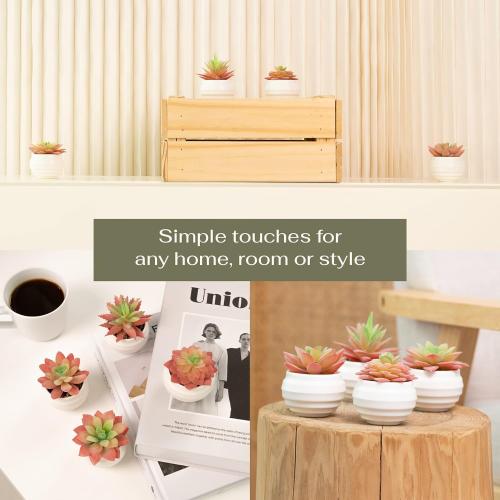 VIVERIE 4Pcs Pink Green Artificial Succulents in Pots (Plastic)- Small Artificial Plants, Office Decor, Office Home Halloween/Christmas Decor Gifts-Faux Plant Gifts for Women