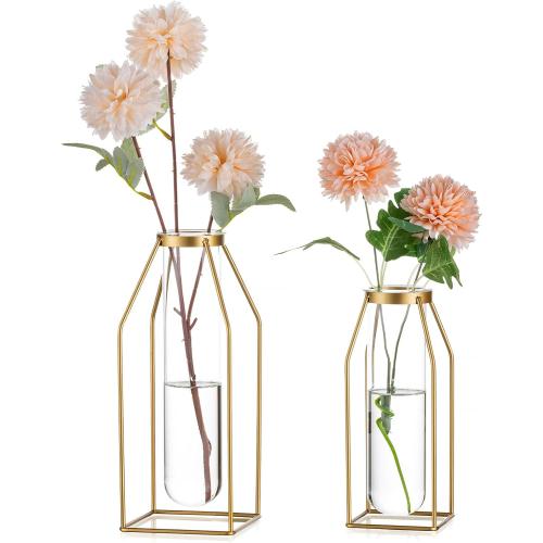 Sziqiqi Metal Flower Vase Table Decor - Gold Frame Vase with Glass Test Tubes 8/10 Modern Bud Vase for Coffee Table Living Room Abstract Geometric Art Vase for Rose Hydroponic Plant Pampas