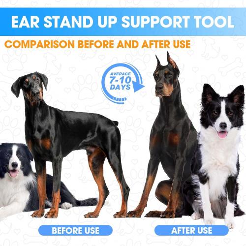 4 Set Doberman Ear Posting Kit for Doberman Pincher Samoyed with Extra 2 Rolls Dog Ear Tapes