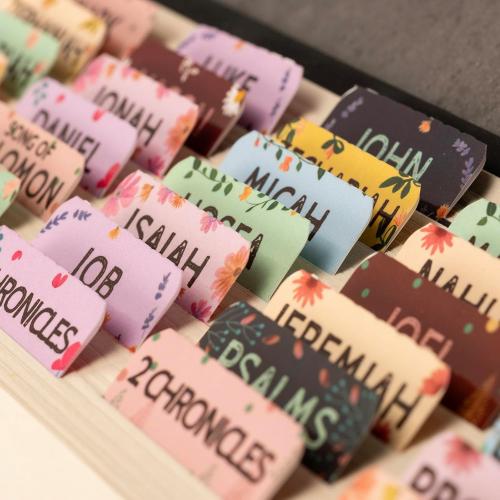 Lumintutu Laminated Bible Tabs, Large Print Bible Study Journaling Supplies, Christian Gift for Women and Men, Index Tabs for Old and New Testament, She Reads Truth Bible (Pastel Bloom)