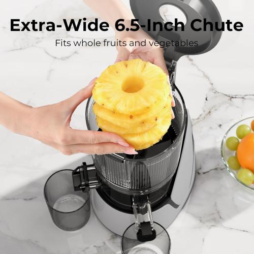 Cold Press Juicer, 5.8 Wide Feed Chute Juice Extractor Machine with 400W, High Juice Yield, Slow Masticating Juicer for Whole Vegetables & Fruits, Silver Gray