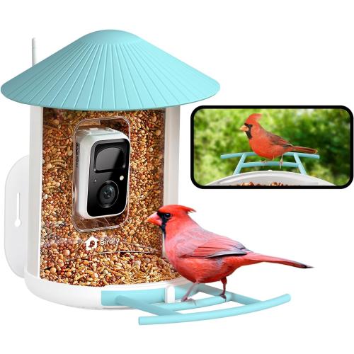 Color Blue NETVUE by Birdfy Smart Bird Feeder with Camera, Bird Watching Camera, Auto Capture Video & Motion Detection, 1080P Live Steam, Cardinal Feeder Outdoor Wireless, Ideal Present for Backyard Birder, Blue