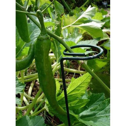 24 Inches Single Stem Plant Support Stakes Steel Garden Stakes Plant Atem Support, Pack of 20