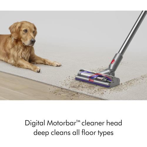 Dyson V15 Detect Plus Cordless Vacuum, Yellow/Nickel