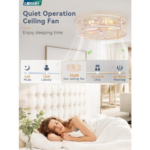 LEDIARY 20in Caged Low Profile Ceiling Fan Light with Remote White Gold