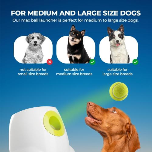 ALL FOR PAWS Automatic Ball Launcher for Dogs, Interactive Tennis Ball Outdoor Thrower for Medium to Large Dogs, Rechargeable Dog Toy, 6 Balls Included
