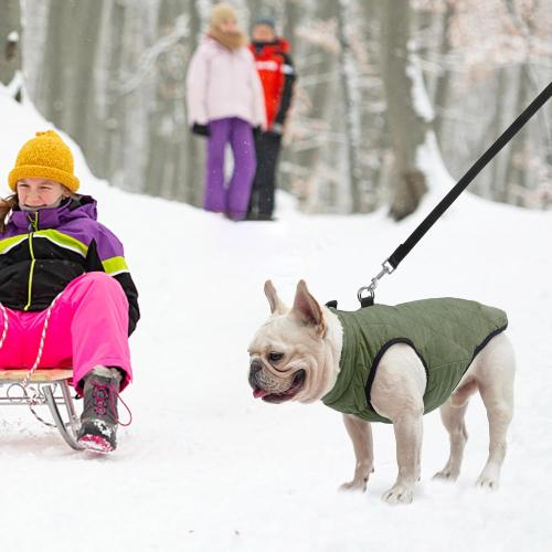 SCENEREAL Winter Dog Vest Coat with Harness Built in, Warm Dog Jacket for Small Medium Dogs, Cold Weather Coats with Zipper, Fleece Puffer Vest Windproof Snow Clothes for Puppy Pet