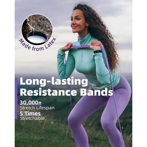 Resistance Bands Set - Pull Up Bands for Men Women, Exercise Bands Resistance with Door Anchor, Training Poster & Pouch for Body Stretching, Pull Up Assist