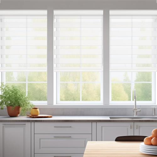 Changshade Custom Size Zebra Blinds for Indoor Window Free-Stop Blackout(85%) Zebra Shades Dual Layer Sheer Shades for Office Home Living Room, Bedroom, Easy Installation，Lucent Snow White-A