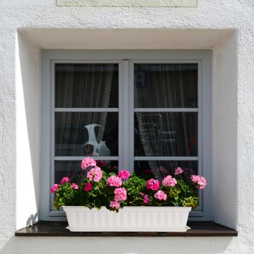HOXHA 6 Pack Window Box Planter, 17 Inches Vegetable Flower Plastic Planter Boxes with Tray, Rectangular Planter Indoor and Outdoor Flower Pots for Windowsill, Patio, Porch, Garden Balcony, White