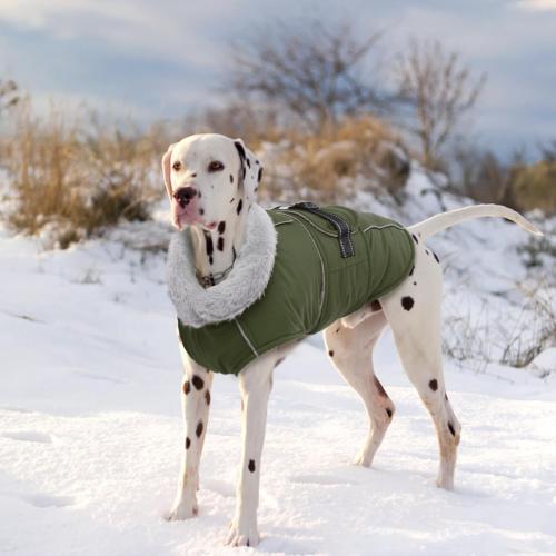 Lelepet Warm Dog Coat Reflective Fleece Vest Waterproof Dog Jacket with Adjustable Buckle Hook & Loop Windproof Cold Weather Coats for Dogs, Army Green, large