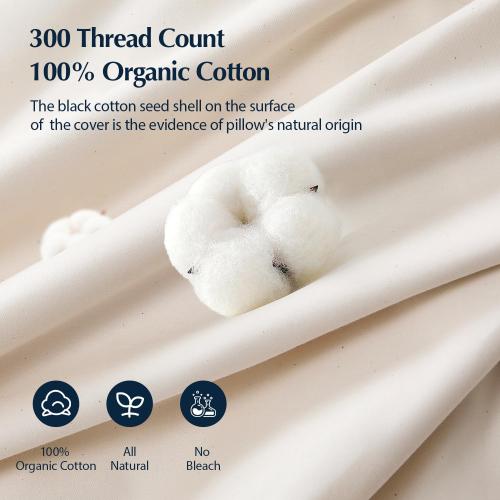 Pacific Coast Goose Feather and Down Pillows, Queen Size Set of 2, Gusseted Pillows, Bed Pillows for Sleeping, Good for Side and Back Sleepers, 100% Organic Cotton Cover