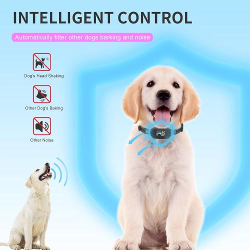 Black 2025release Bark Collar for Large Medium Small Dogs, Smart Rechargeable Anti Barking Training Collar, 8 Sensitivity Levels, Beep/Vibration/Shock,IP67 Waterproof, Color Display