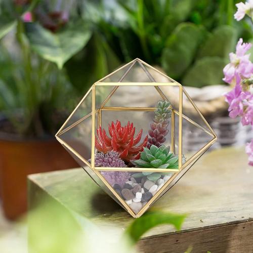ELLDOO Gold Glass Coffee Pods Holder, Large Capacity 14 Sided Glass Box for K Cups & Nespresso Capsules, Coffee Capsule Storage for Counter Coffee Bar, Kitchen, Office
