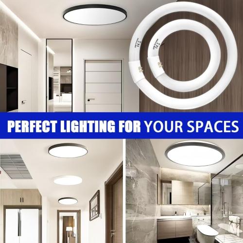 FC8T9/CW 22W and FC12T9/CW 32W Cool White Set, 8 inch T9 22 Watts Circular Light Bulbs, 12 inch 32 Watts Circline Fluorescent Bulb Round Ring Bulb CRI 80, G10q Prong