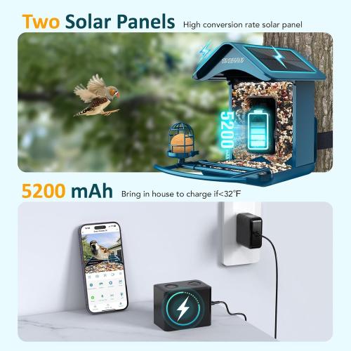 BIRDLEGEND® Bird Feeder with Camera Solar Powered, 2K Portrait Live Free AI Forever Instant Arrival Alerts with 64GB Card, Smart Camera Birds Feeders Wireless Outdoor Gift for Bird Lover, 2.4G WiFi