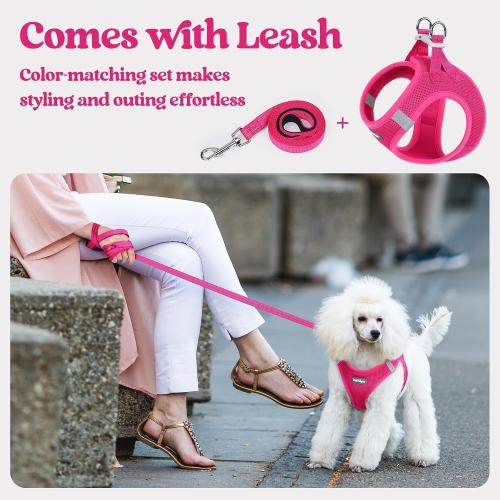 Size M rabbitgoo Dog Harness Small Sized and Leash Set, Step in Soft Light Puppy Vest, Breathable Mesh Pet Harness, Reflective for Safe Easy Walking, Orange and Blue