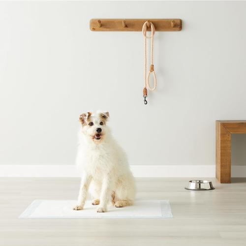 Amazon Basics Leak-Proof Dog and Puppy Potty Training Pee Pads with Quick-Dry 5-Layer Design, X-Large Size 28 x 34 Inch, Blue & White, 40-Pack