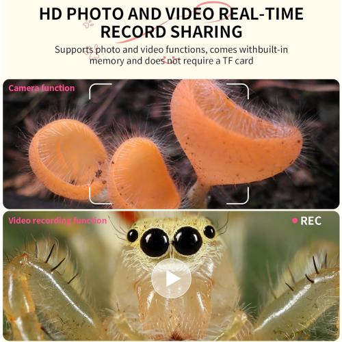 Handheld Microscope for Kids - Educational Science Toys, Christmas & Birthday Gifts for Age 5 6 7 8 9 10 11 12 Girls & Boys (Yellow)