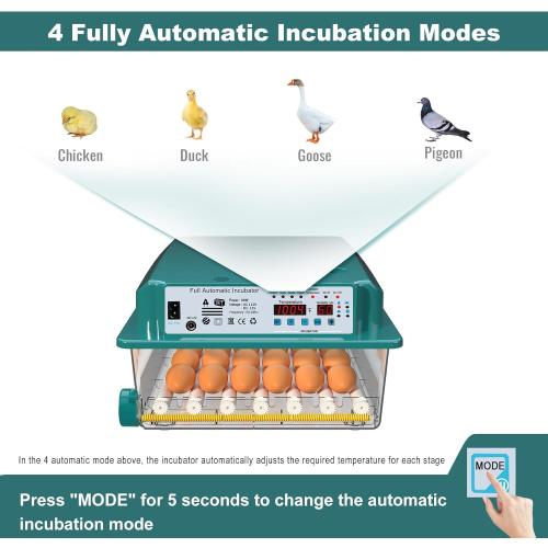 Incubators for Hatching 36 Eggs with Automatic Egg Turning and Humidity Monitoring - 4 Automatic Incubation Modes for Chicken Duck Goose Pigeon