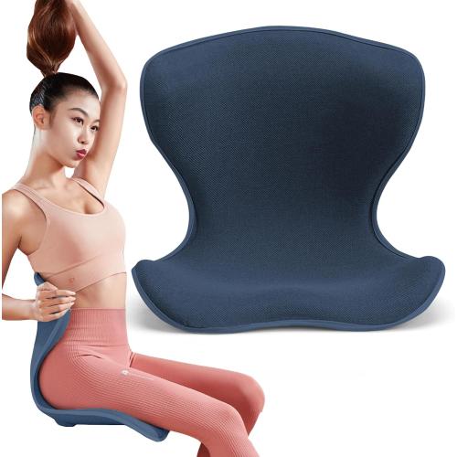 Lumbar Support for Office, Ergonomic Back Cushion for Lower Pain Relief, Improve Posture, Floor Seat,Meditation Chair, Chair Back Support for Computer Chairs, Gaming,Home - Working. (Blue)